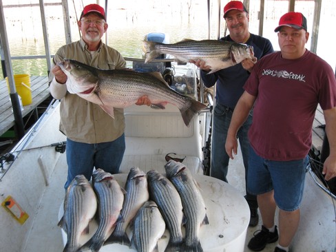 Nice Striped Bass